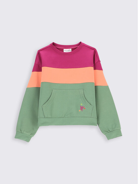 Felpa ZC2132103MAK Multicolore Regular Fit
