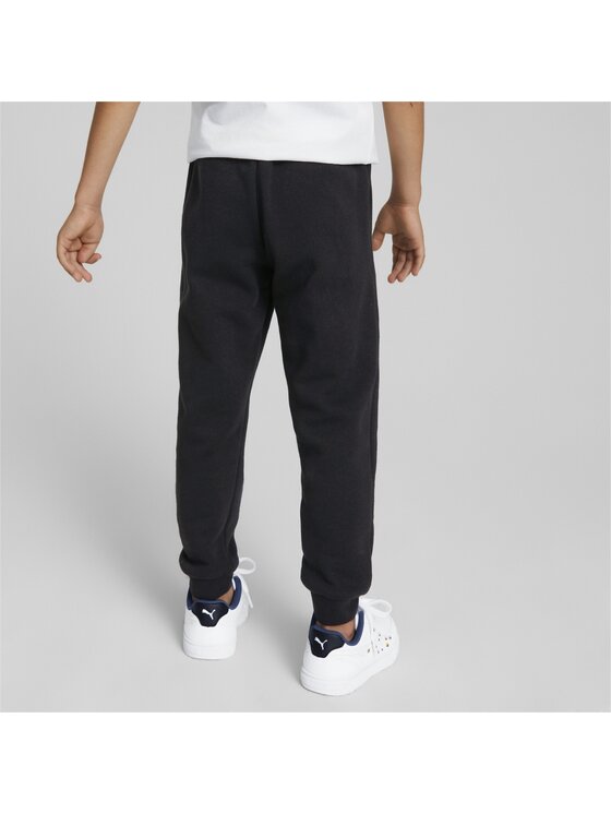 Puma Puma Spodnie dresowe 670132 Czarny Regular Fit