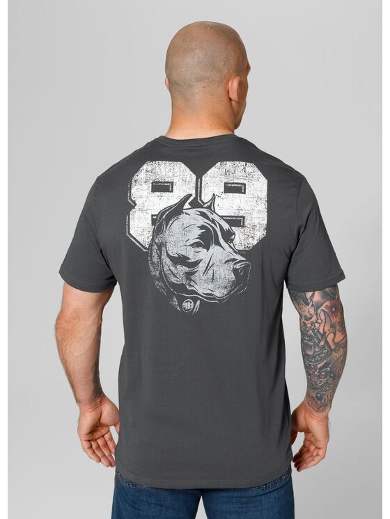PITBULL PITBULL T-Shirt Koszulka Szary Regular Fit