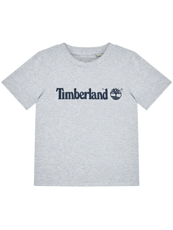 Timberland Timberland T-Shirt T25P22 D Szary Regular Fit