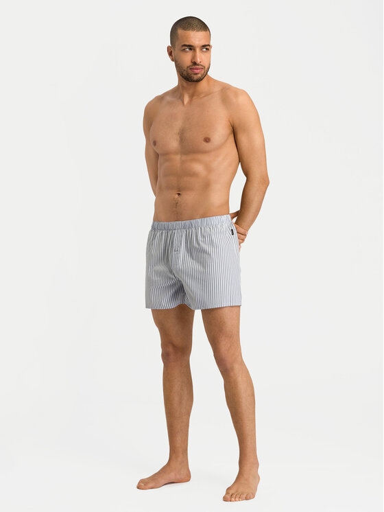 Hanro Hanro Boxer 74013 Grigio