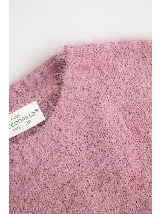 Coccodrillo Coccodrillo Sweter ZC6172104WGJ-033 Różowy Regular Fit