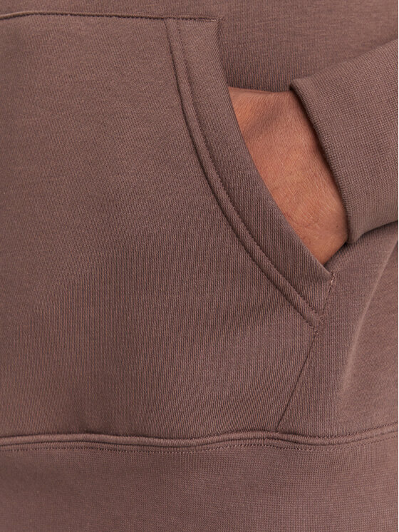 Quiksilver Quiksilver Bluză Salt Water Hoodie EQYFT05159 Maro Regular Fit