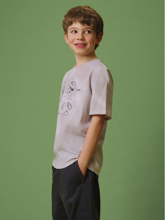 4F 4F T-Shirt ENJOY THE OUTDOORS Kolorowy Regular Fit