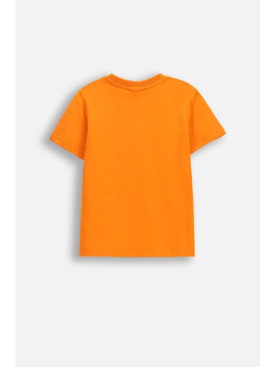 Coccodrillo Coccodrillo Tričko WC6143202FBK-006 Oranžová Regular Fit