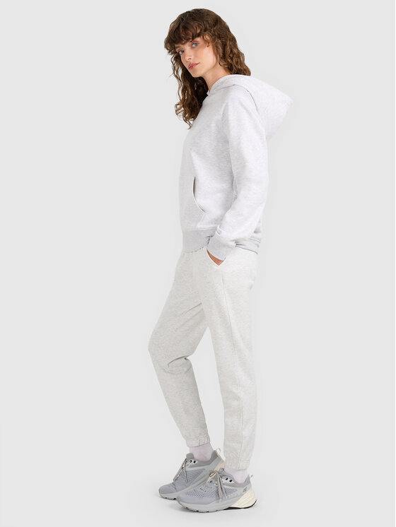 4F 4F Spodnie dresowe NOS Szary jasny Regular Fit