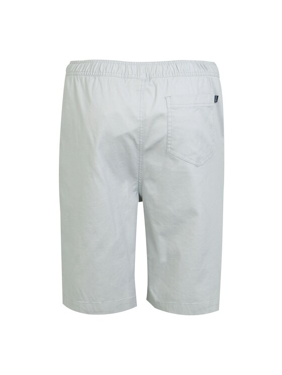 Regatta Regatta Szorty Aldan Szary Chino Fit