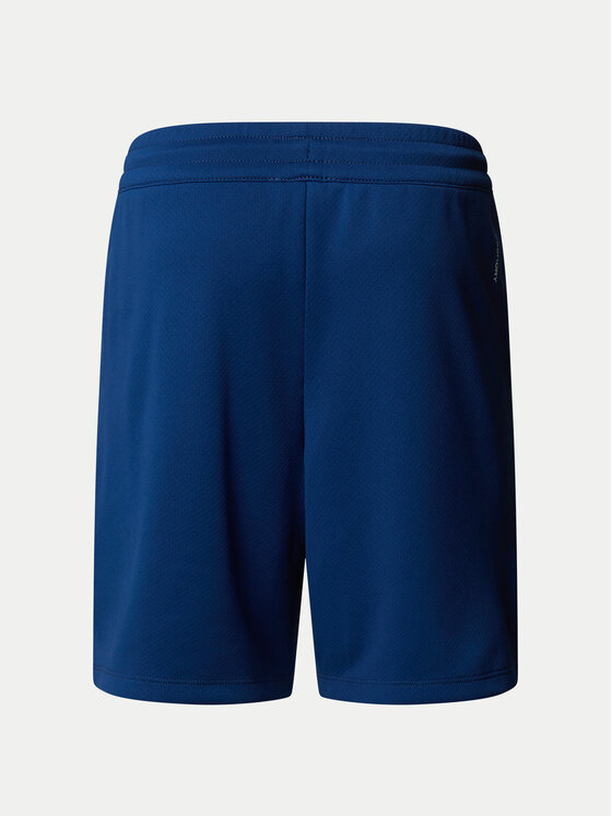 The North Face The North Face Športové kraťasy Never Stop NF0A86U4 Modrá Regular Fit