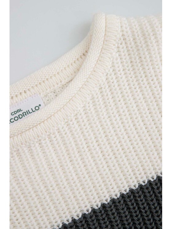 Coccodrillo Coccodrillo Sveter WC6172102CSG-020 Sivá Regular Fit