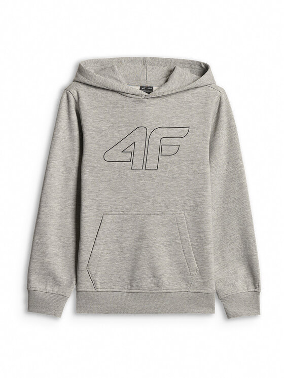 4F 4F Bluza BASIC+ Szary Regular Fit