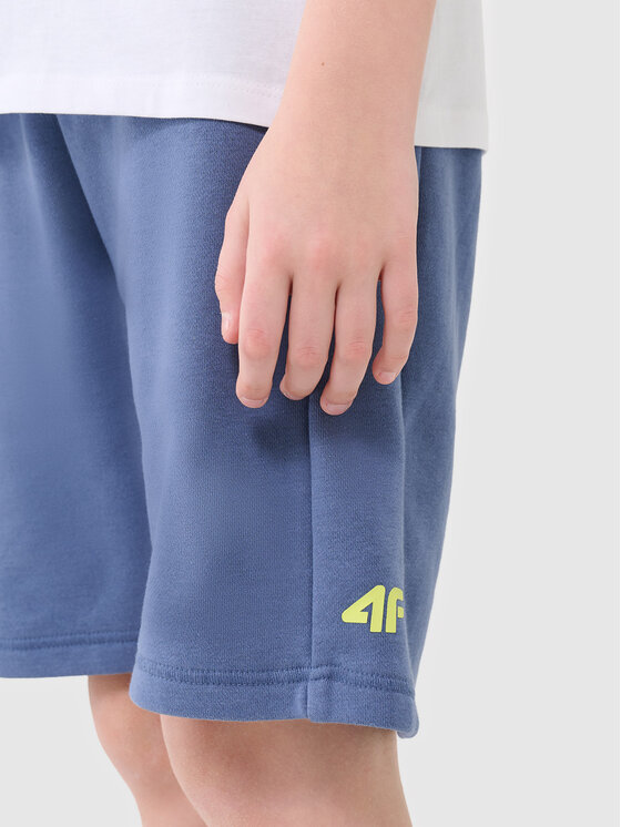 4F 4F Szorty sportowe BASIC+ Niebieski Regular Fit