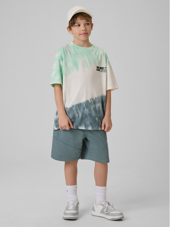 4F 4F T-Shirt SKATE & RIDE Kolorowy Loose Fit