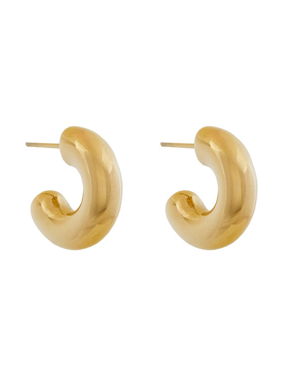 Aldo Aldo Orecchino Cralir 13868553 Oro