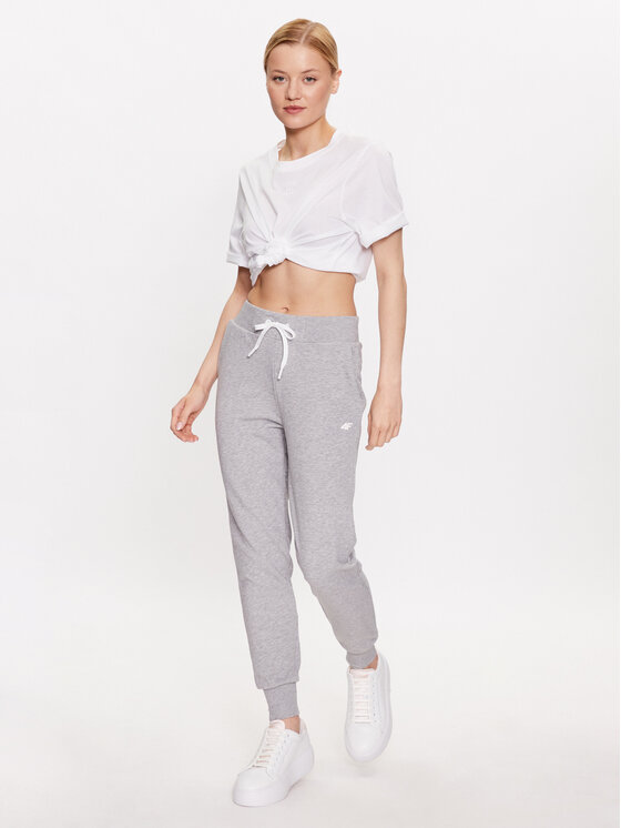 4F 4F Spodnie dresowe 4FSS23TTROF229 Szary Regular Fit