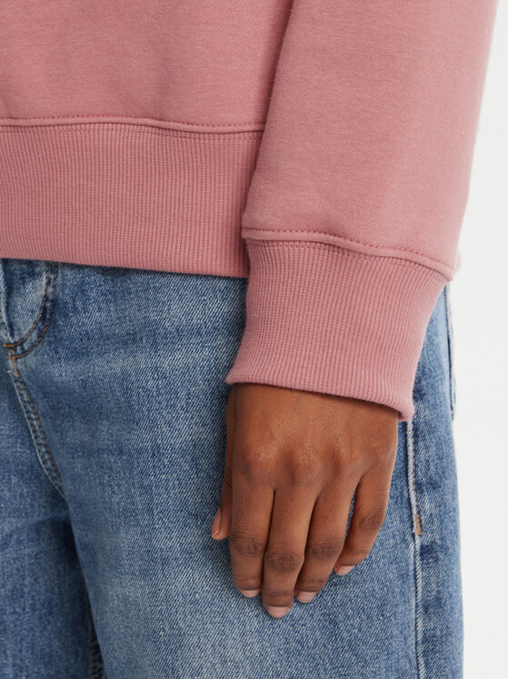 Tommy Jeans Tommy Jeans Felpa Flag DW0DW19959 Rosa Regular Fit