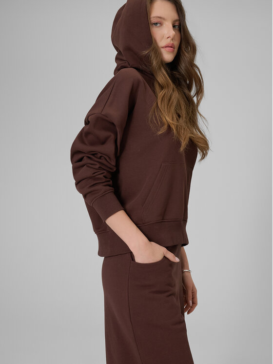 4F 4F Bluza ESSENTIAL 2 Brązowy ciemny Regular Fit