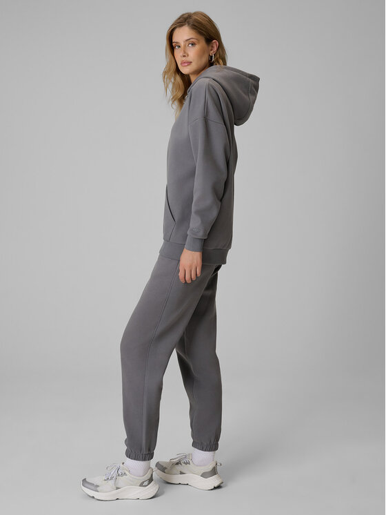 4F 4F Spodnie dresowe BASIC+ Szary Regular Fit