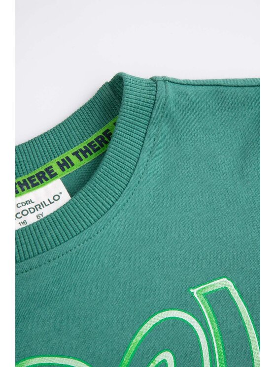Coccodrillo Coccodrillo T-Shirt ZC5143104XBK-011 Zelená Regular Fit