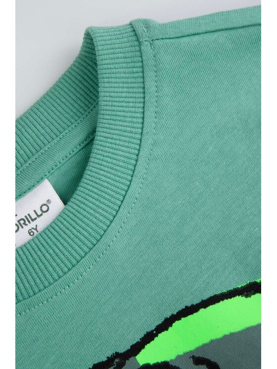 Coccodrillo Coccodrillo T-Shirt WC6143235VBA-011 Zielony Regular Fit