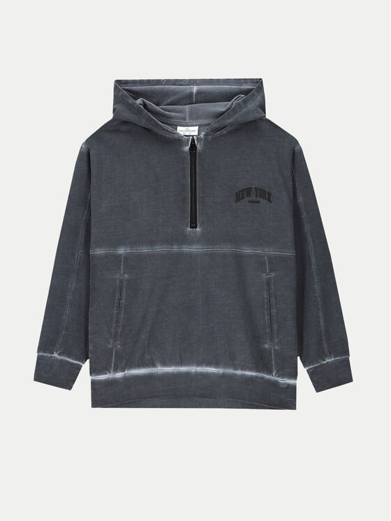 Coccodrillo Coccodrillo Світшот ZC4132301ABJ Сірий Regular Fit
