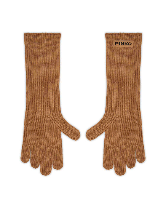 PINKO PINKO Naiste kindad PINKO-Grecia 105997 A2Z4 Pruun