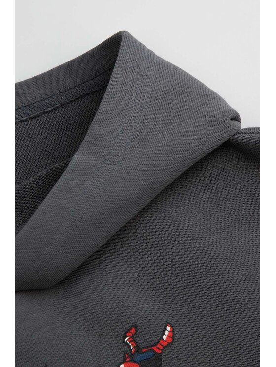 Coccodrillo Coccodrillo Mikina WC6132302LBD-020 Sivá Regular Fit