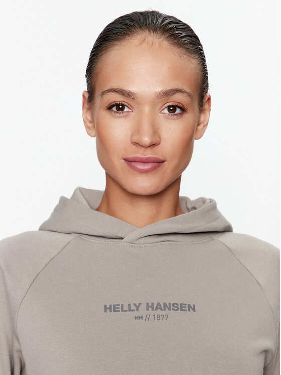 Helly Hansen Helly Hansen Majica dugih rukava Core 54033 Siva Regular Fit