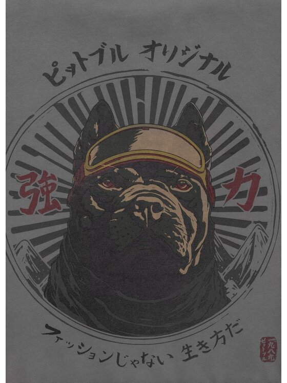 PITBULL PITBULL Bluza Washed MT FUJI Szary Regular Fit