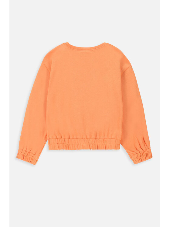 Coccodrillo Coccodrillo Bluza WC4132102CEK-006 Pomarańczowy Regular Fit