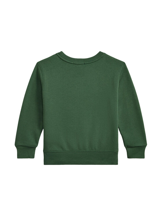 Polo Ralph Lauren Polo Ralph Lauren Džemperis ar kapuci 322981261001 Zaļš Regular Fit