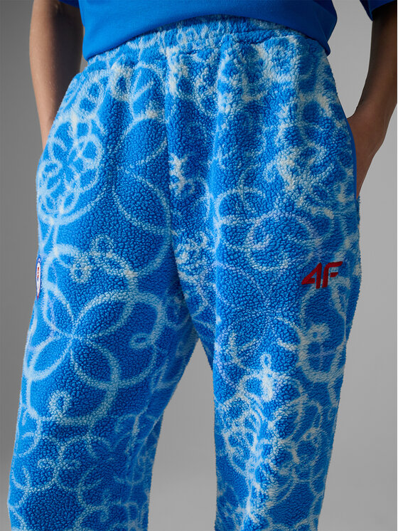 4F 4F Spodnie dresowe MILANO CORTINA Kolorowy Regular Fit