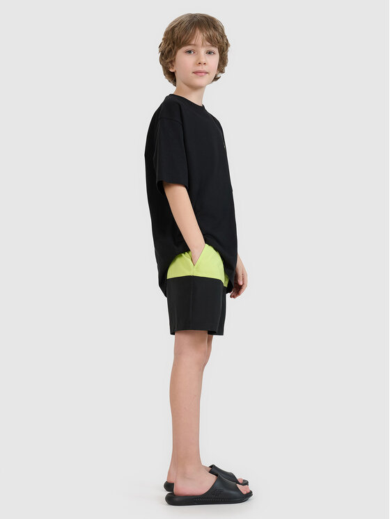 4F 4F Sportovní kraťasy VIBRANT WARMTH Zelená Regular Fit