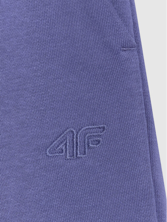 4F 4F Spodnie dresowe BASIC+ Niebieski Regular Fit