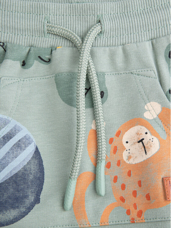 Coccodrillo Coccodrillo Долнище анцуг WC5120102SBN Зелен Regular Fit