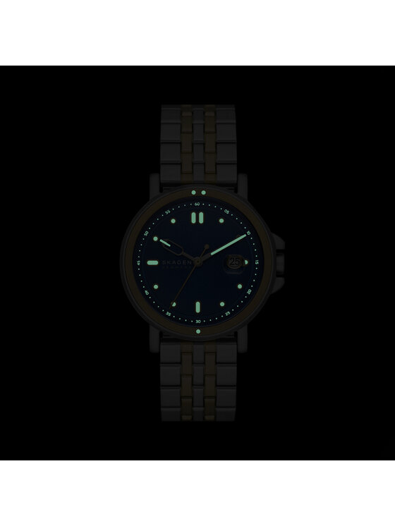 Skagen Skagen Zegarek Signature SKW6921 Niebieski