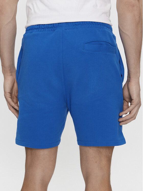 Tommy Jeans Tommy Jeans Szorty sportowe Tjm Entry Graphic DM0DM19153 Niebieski Regular Fit
