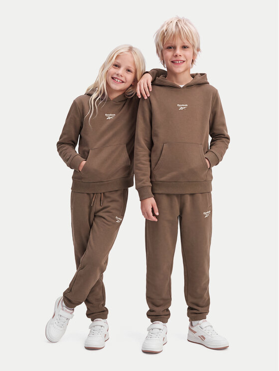 Reebok Set trenerka RK95228CCB Smeđa Regular Fit
