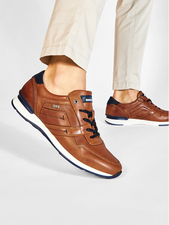 Salamander Salamander Sneakers Avato 31-56201-07 Marrone