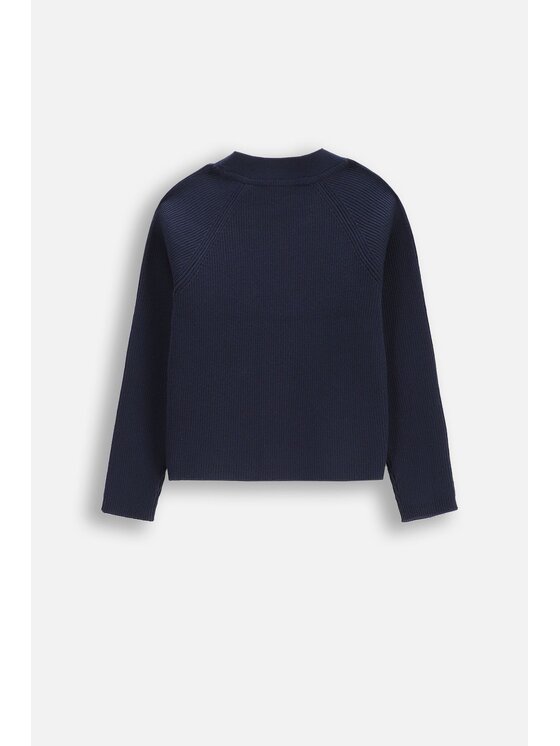 Coccodrillo Coccodrillo Sweter WC5172201BSG-015 Granatowy Regular Fit
