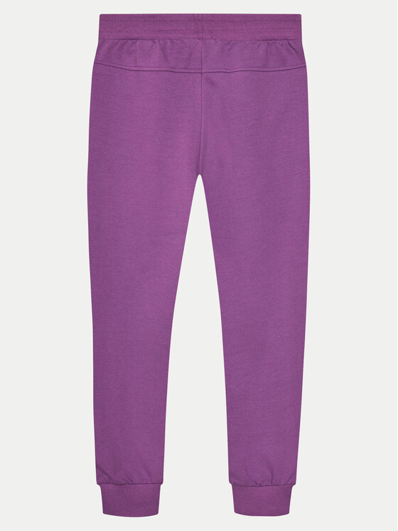 Coccodrillo Coccodrillo Sportinės kelnės WC4120102JPK Violetinė Regular Fit