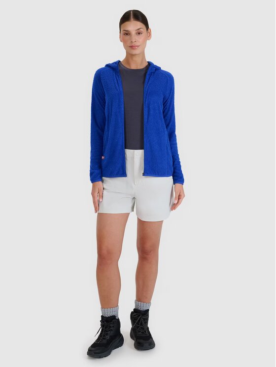 4F 4F Σορτς 4FWSS25TFSHF0994-27S Γκρι Regular Fit