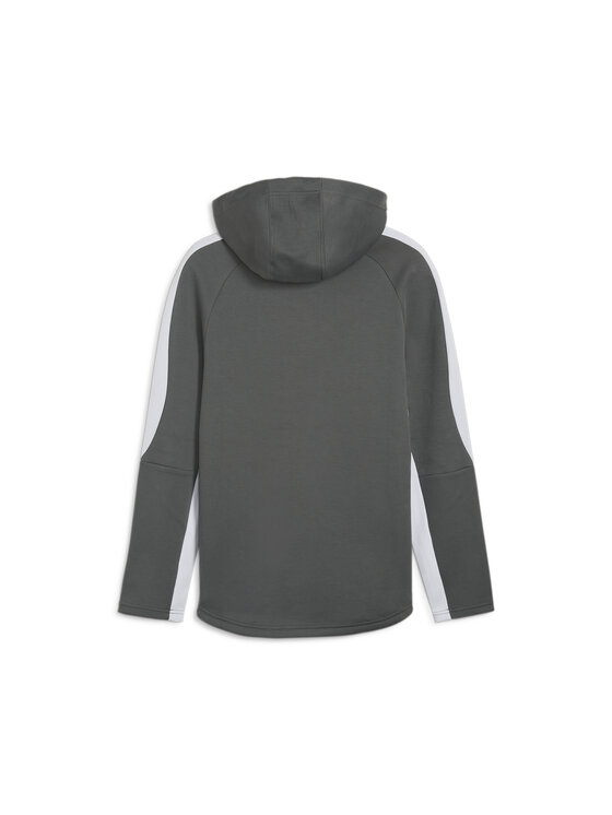 Puma Puma Bluza 678995 Szary Regular Fit