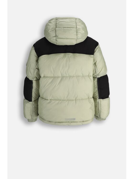 Coccodrillo Coccodrillo Zimné bundy ZC5152101OBJ-011 Zelená Regular Fit