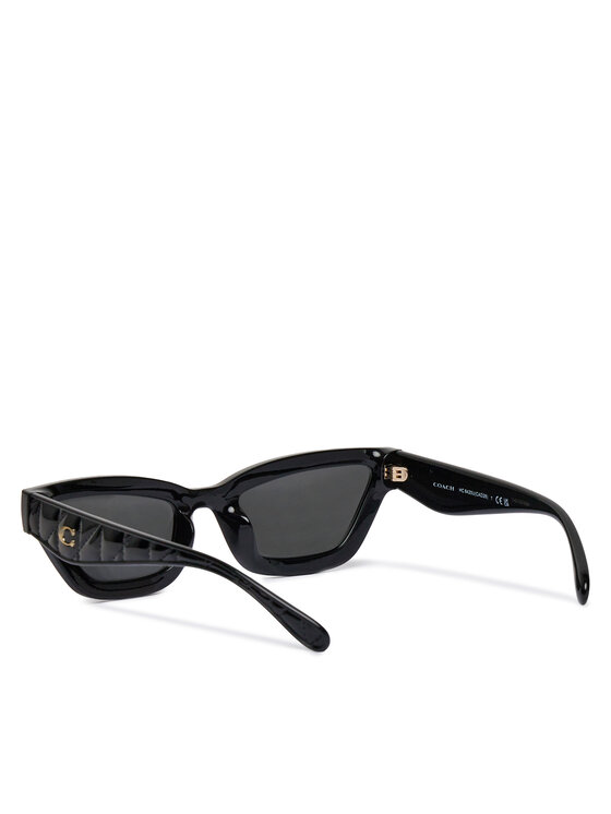 Coach Coach Sonnenbrillen 0HC8420U 500287 Schwarz