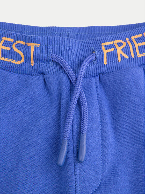 Coccodrillo Coccodrillo Jogginghose ZC4120203FBK Blau Regular Fit