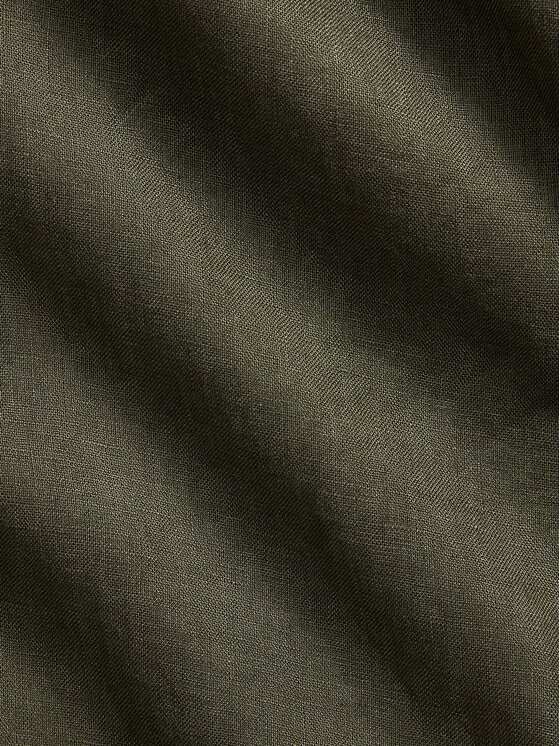 Polo Ralph Lauren Polo Ralph Lauren Košulja 710968912503 Zelena Regular Fit