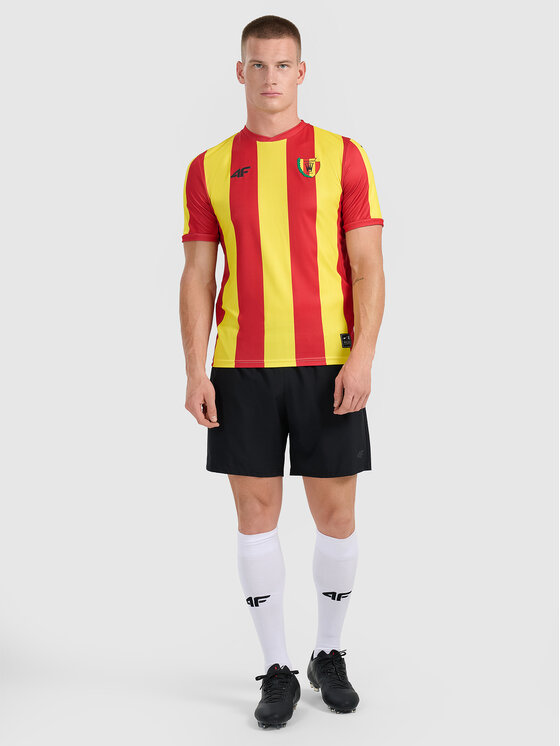 4F 4F Koszulka techniczna TEAMWEAR Kolorowy Regular Fit