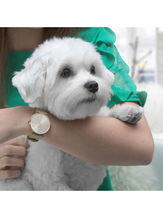 Ice-Watch Ice-Watch Orologio ICE.015087 Oro