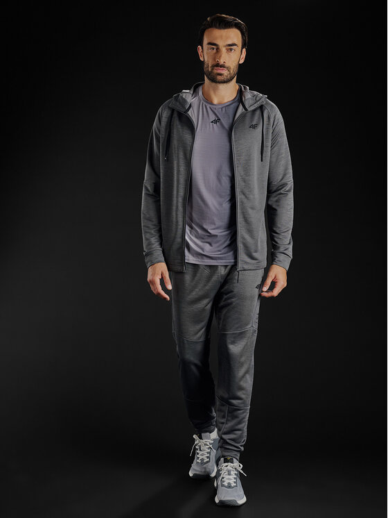 4F 4F Bluza techniczna GOLDEN WARRIOR Szary Regular Fit