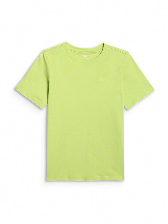 4F 4F T-Shirt BASIC+ Zielony Regular Fit